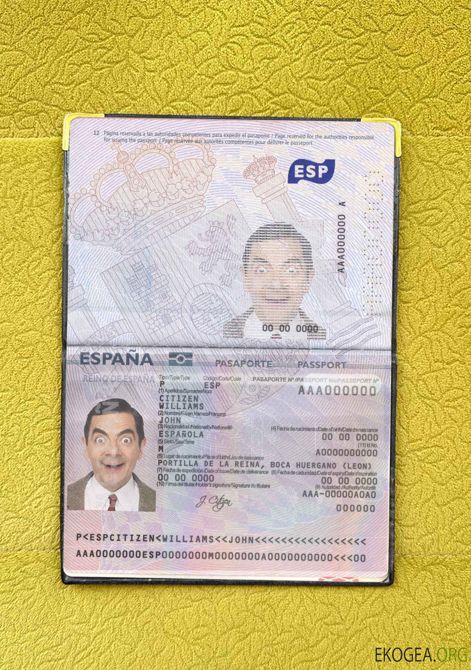 Passeport espagnol de 2015, look photo